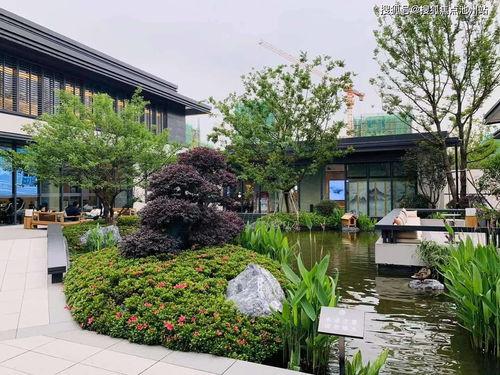 吃瓜娱乐中心官网入口